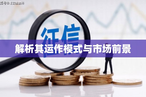 宁明解析其运作模式与市场前景