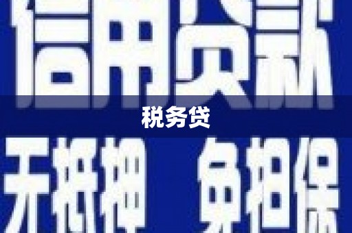 宁明税务贷