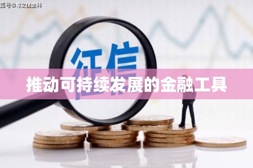 宁明推动可持续发展的金融工具