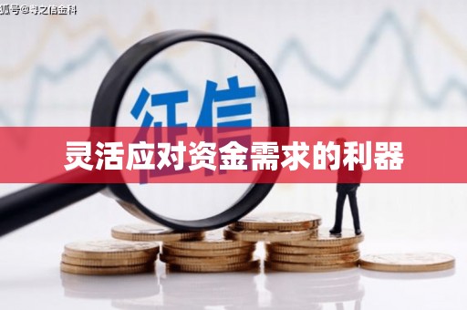 宁明灵活应对资金需求的利器