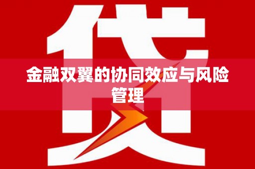 宁明金融双翼的协同效应与风险管理