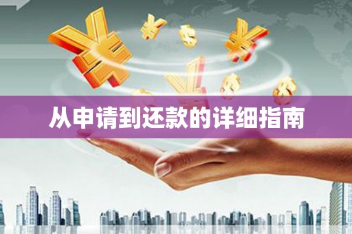 宁明从申请到还款的详细指南