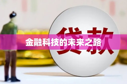 宁明金融科技的未来之路