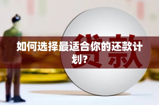 宁明如何选择最适合你的还款计划？