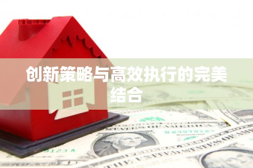 宁明创新策略与高效执行的完美结合