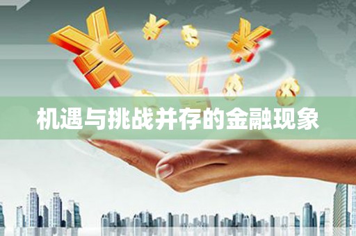 宁明机遇与挑战并存的金融现象