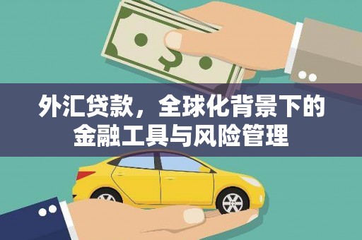宁明外汇贷款，全球化背景下的金融工具与风险管理